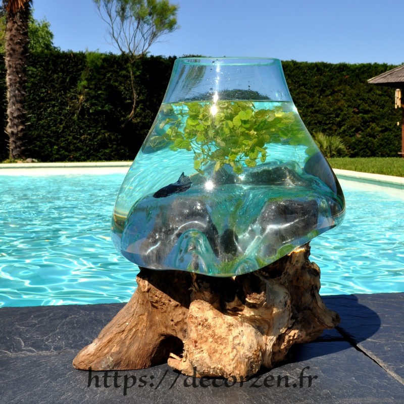 Aquarium ou bol à punch en verre recyclé soufflé et moulé sur du bois