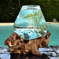 Aquarium ou bol à punch en verre recyclé fondu puis soufflé en fusion sur une racine, le verre est amovible.