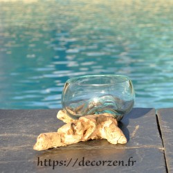 Terrarium, ramequin apéro en verre recyclé soufflé coulé en fusion sur du bois flotté, le verre se sort pour le laver