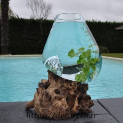 Aquarium ou  vase en verre recyclé soufflé en fusion sur du bois flotté, le vase est amovible pour le lavage