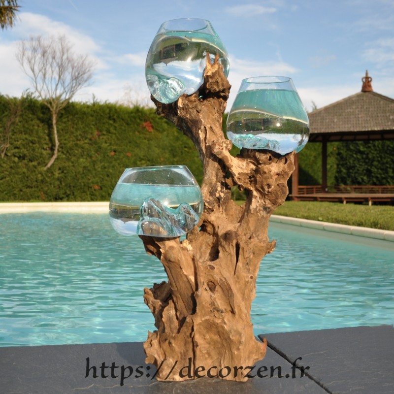 Trois petits aquariums en verre recyclé soufflé en fusion sur une racine.