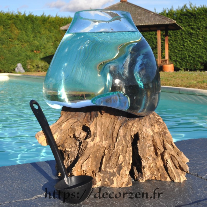 Aquarium ou vase en verre recyclé soufflé à la bouche en fusion sur du bois flotté, le vase est amovible pour le lavage. Aquarium ou vase en verre recyclé soufflé à la bouche en fusion sur du bois flotté, le vase est amovible pour le lavage.