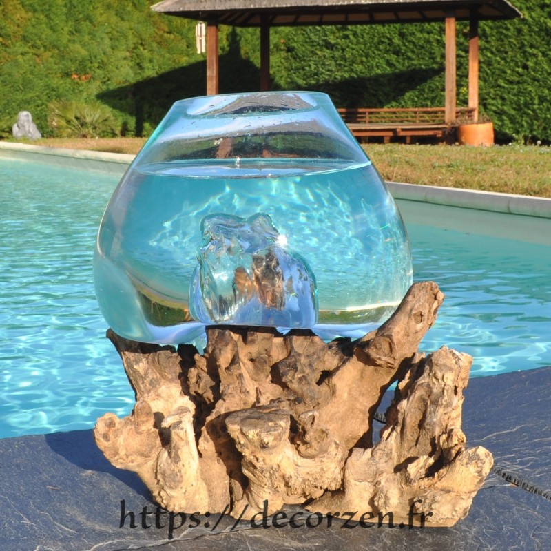 Aquarium ou vase en verre recyclé soufflé à la bouche en fusion sur du bois flotté, le vase est amovible pour le laver Aquarium ou vase en verre recyclé soufflé à la bouche en fusion sur du bois flotté, le vase est amovible pour le laver