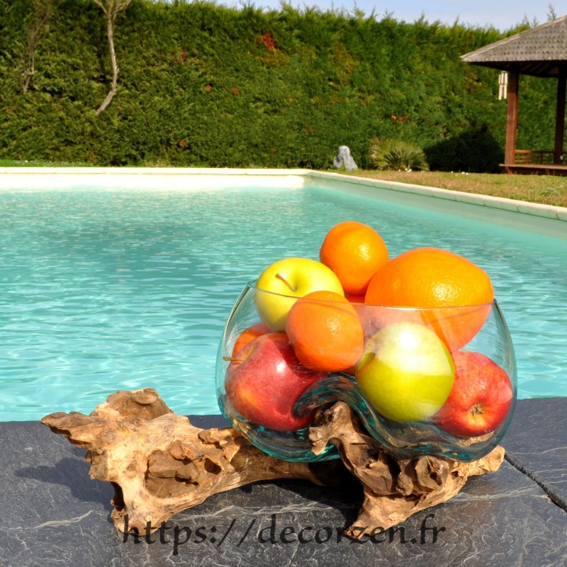 Terrarium, bonbonnière ou ramequin à apéro en verre recyclé soufflé en fusion sur du bois flotté. Terrarium, bonbonnière ou ramequin à apéro en verre recyclé soufflé en fusion sur du bois flotté.