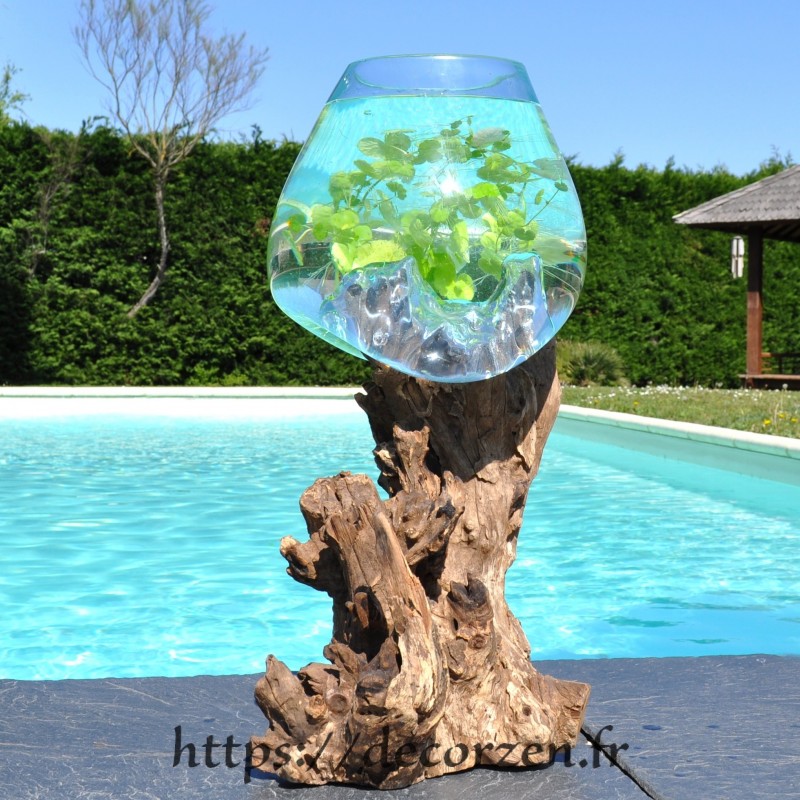 Aquarium ou vase en verre recyclé soufflé à la bouche en fusion sur du bois flotté, le vase est amovible pour le laver Aquarium ou vase en verre recyclé soufflé à la bouche en fusion sur du bois flotté, le vase est amovible pour le laver