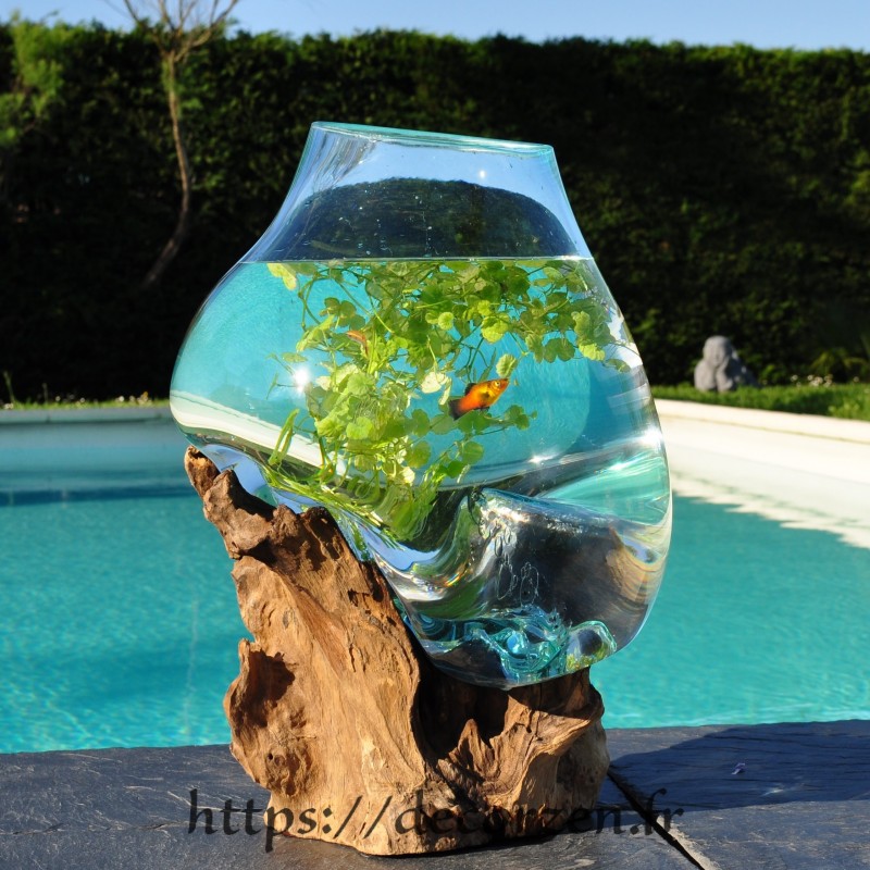 Aquarium ou bol à punch en verre recyclé soufflé et moulé sur du bois