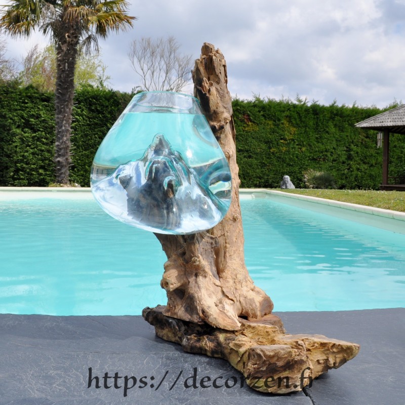 Un magnifique aquarium en verre recyclé soufflé sur du bois flotté.