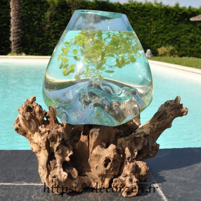 Un magnifique aquarium en verre recyclé soufflé sur du bois flotté.
