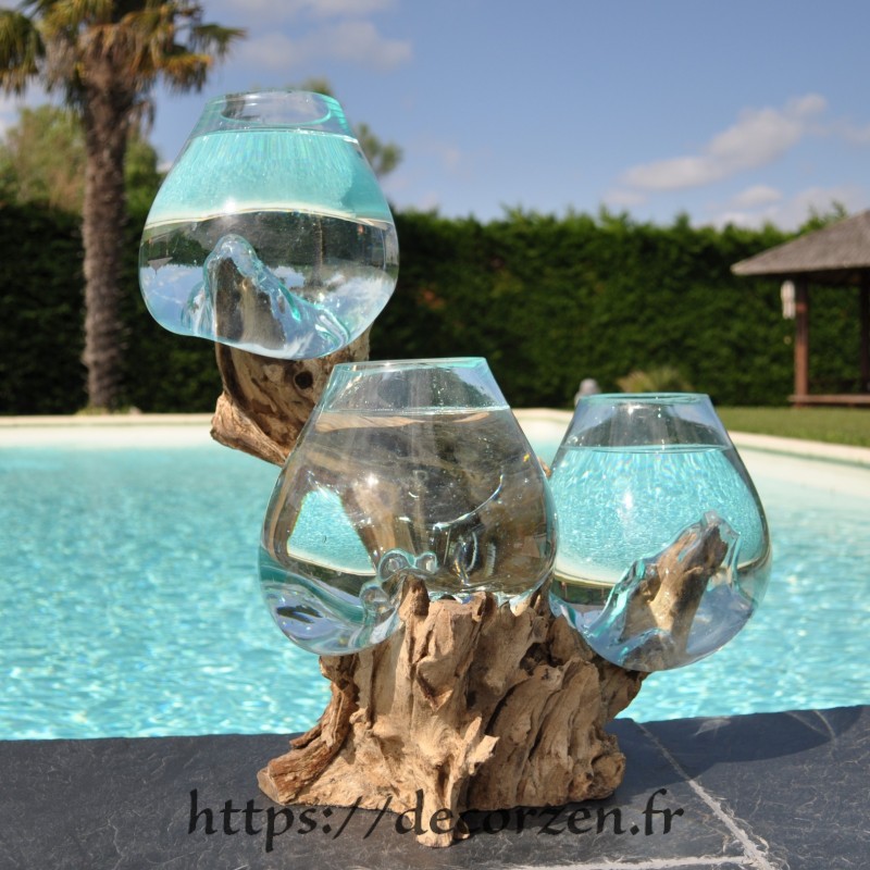 Trois petits aquariums en verre recyclé soufflé en fusion sur une racine.