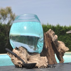 Aquarium ou  vase en verre recyclé soufflé à la bouche en fusion sur du bois flotté, le vase est amovible