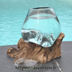 Un bocal pour culture en hydroponie en verre recyclé soufflé sur du bois flotté