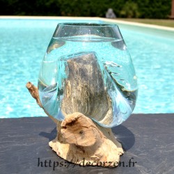 Vase ou terrarium en verre recyclé soufflé en fusion sur du bois flotté, le vase est amovible pour le laver