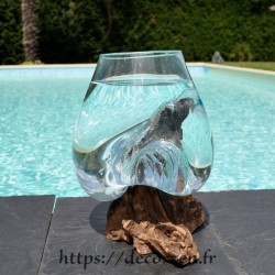 Aquarium ou  vase en verre recyclé soufflé à la bouche eAn fusion sur du bois flotté, le vase est amovible