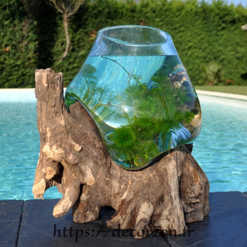 Aquarium ou vase en verre recyclé soufflé à la bouche en fusion sur du bois flotté, le vase est amovible