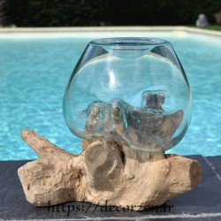 Bocal pour culture hydroponique