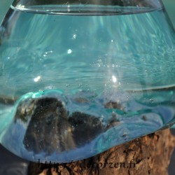 Un merveilleux petit bol à cocktail ou vase en verre soufflé sur du bois flotté VS211.745D