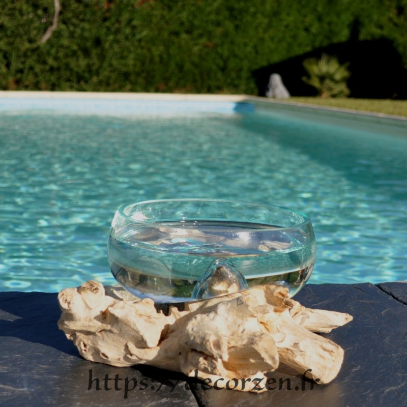 Terrarium, bonbonnière ou ramequin à apéro en verre recyclé soufflé coulé en fusion sur du bois flotté.