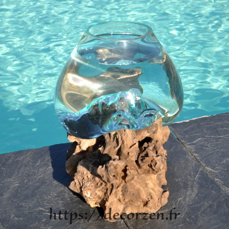 Aquarium ou  vase en verre recyclé soufflé en fusion sur du bois flotté, le vase est amovible pour le lavage