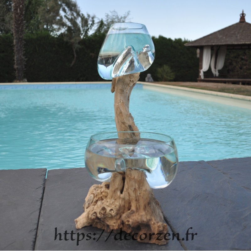 1 vase et un terrarium en verre recyclé soufflé en fusion directement sur du bois flotté, les verres sont amovibles