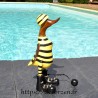Canard bagnard
