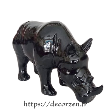 Rhinoceros