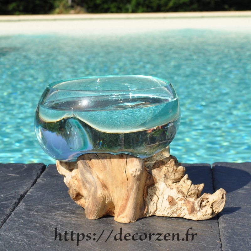 Un terrarium, saladier en verre recyclé soufflé coulé en fusion sur du bois flotté.