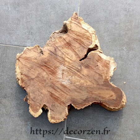 Plateau, tranche ou rondin de bois de Teck