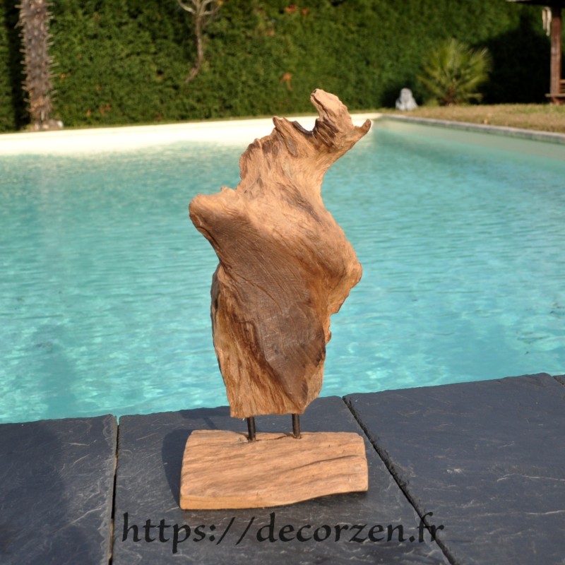 Sculpture naturelle marine en bois de teck