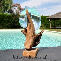 Aquarium ou bol à punch en verre soufflé sur du bois flotté de Jati