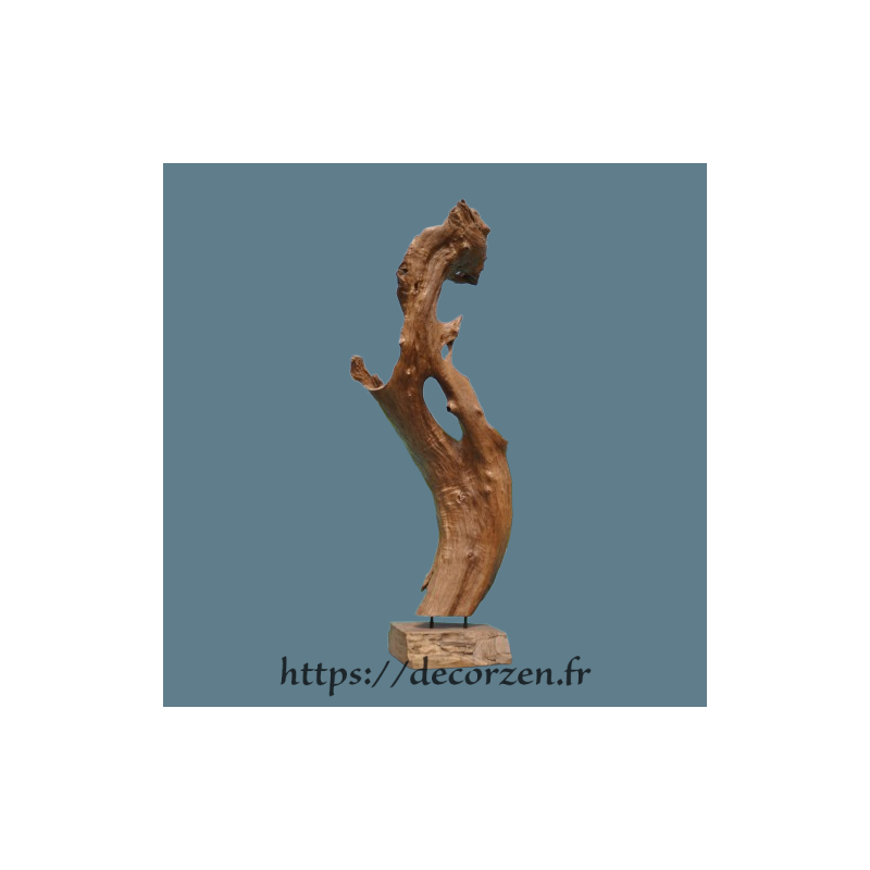 Sculpture marine naturelle en bois de Teck