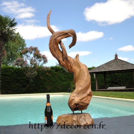 Sculpture naturelle