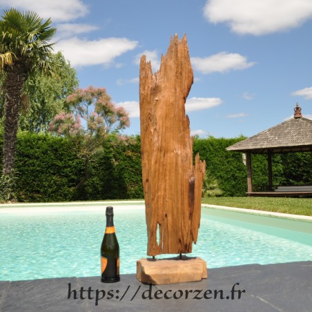 Sculpture naturelle