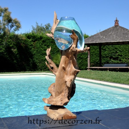 Aquarium ou bol à punch en verre soufflé sur du bois flotté