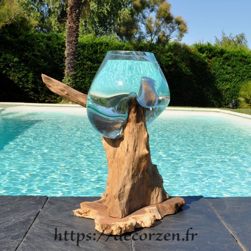Aquarium ou bol à punch en verre soufflé sur du bois flotté de Jati