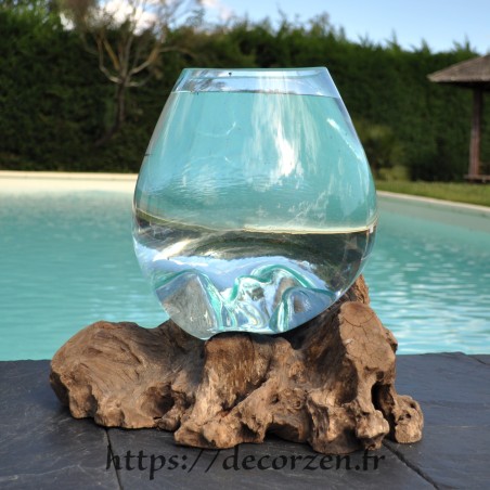 Aquarium ou  vase en verre recyclé soufflé à la bouche en fusion sur du bois flotté, le vase est amovible pour le laver