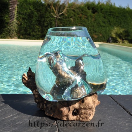 Aquarium ou  vase en verre recyclé soufflé à la bouche en fusion sur du bois flotté, le vase est amovible pour le lavage.