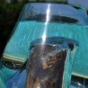 Deux vases en verre recyclé soufflé en fusion sur un même bois flotté.