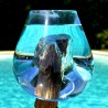 2 aquariums en verre recyclé soufflé en fusion directement sur du bois flotté