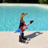 Canard musicien