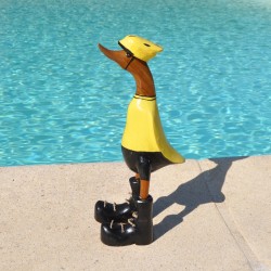 Canard cycliste