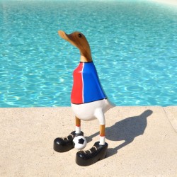 Canard footballer PSG