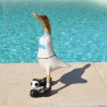 Canard en bois en joueur de  foot à l'OM