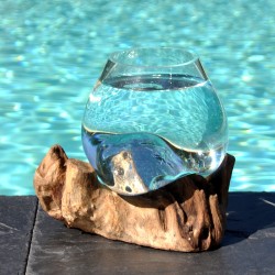 Aquarium en verre soufflé sur du bois