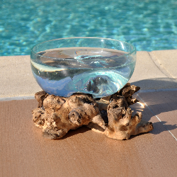 Un terrarium, saladier ou ramequin en verre recyclé soufflé coulé en fusion sur du bois flotté.