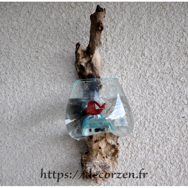Vase ou petit aquarium en applique murale en verre soufflé sur du bois
