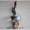 Vase ou petit aquarium en applique murale en verre soufflé sur du bois