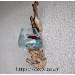 Auquarium en applique murale en verre souffle en fusion sur une racine