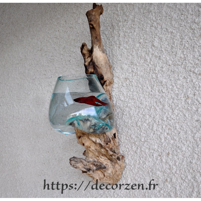 Auquarium en applique murale en verre souffle en fusion sur une racine