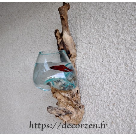 Auquarium en applique murale en verre souffle en fusion sur une racine