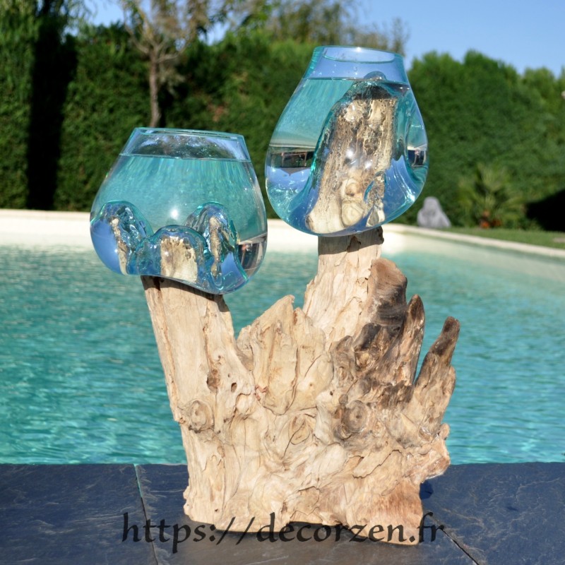 2 aquariums en verre recyclé soufflé en fusion directement sur du bois flotté, les verres sont amovibles